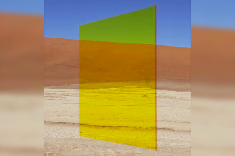 Viviane Sassen à l'Institut Néerlandais