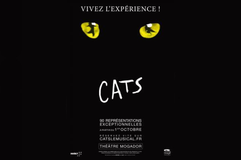 Cats à Mogador : notre critique 