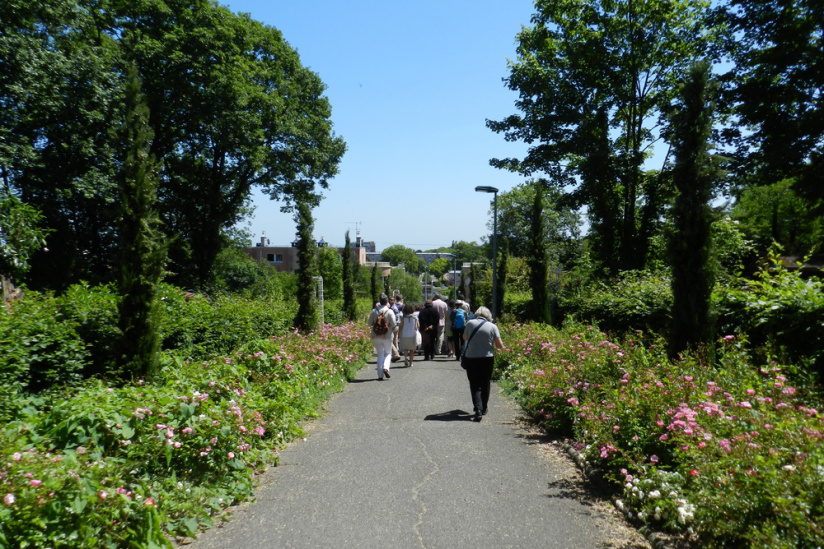 La Seine-Saint-Denis ouvre ses jardins : activités gratuites !
