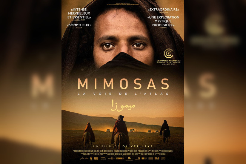 Mimosas, la voie de l'Atlas : gagnez vos places !