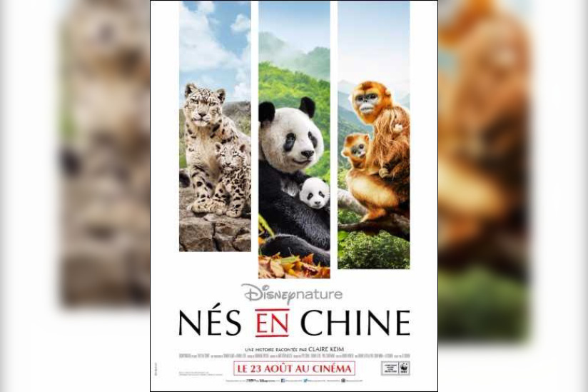 Nés en Chine : gagnez vos places pour l'avant-première ! 