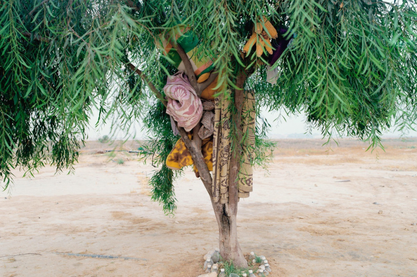 Ron Amir, l'exposition au Musée d'art moderne de la ville de Paris 