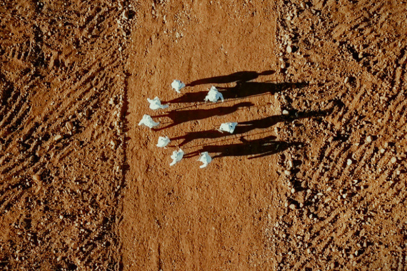 Cosmopolis, édition 2019 au Centre Pompidou 