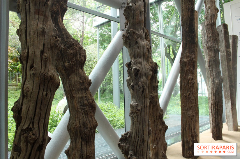 Mémoires vives Fondation Cartier