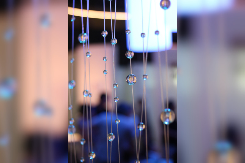 Au fil des araignées MNHN