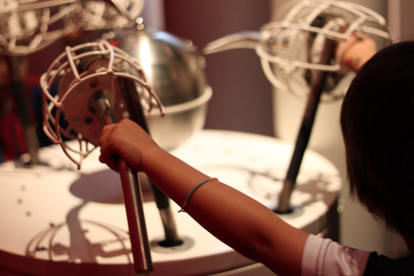 Au fil des araignées MNHN