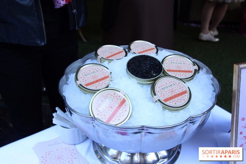 La Terrasse du Saint-James et son Bar à Rosés