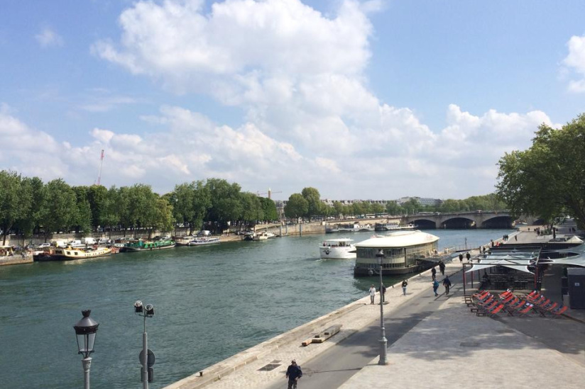 Rosa Bonheur sur Seine