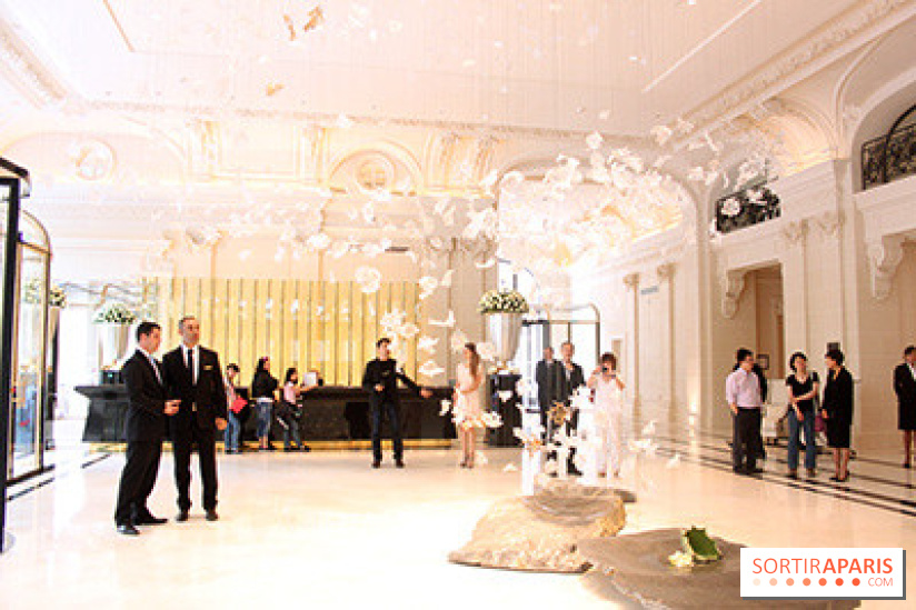 Peninsula : réception