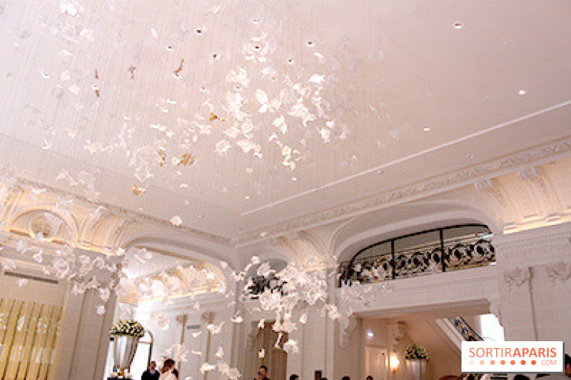 Peninsula : œuvre d'art