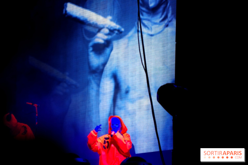 Rock En Seine 2014 - Die Antwoord