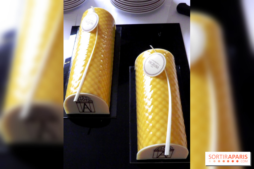 Angelina Bûche Passion