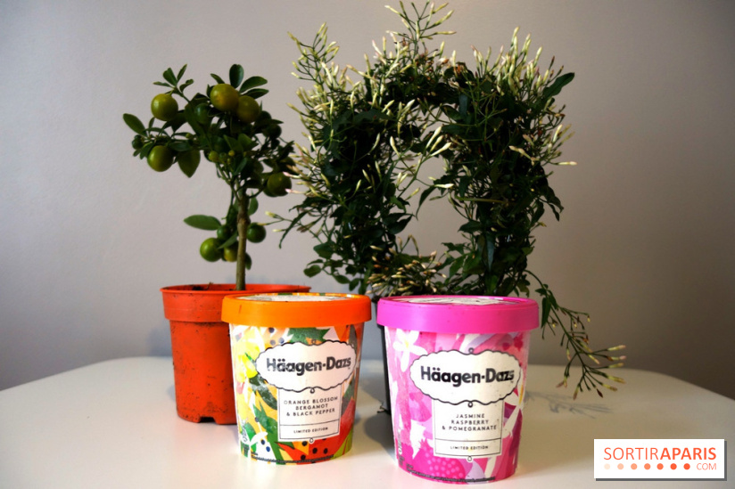 Hägen Dazs nouvelle recette printemps 2019