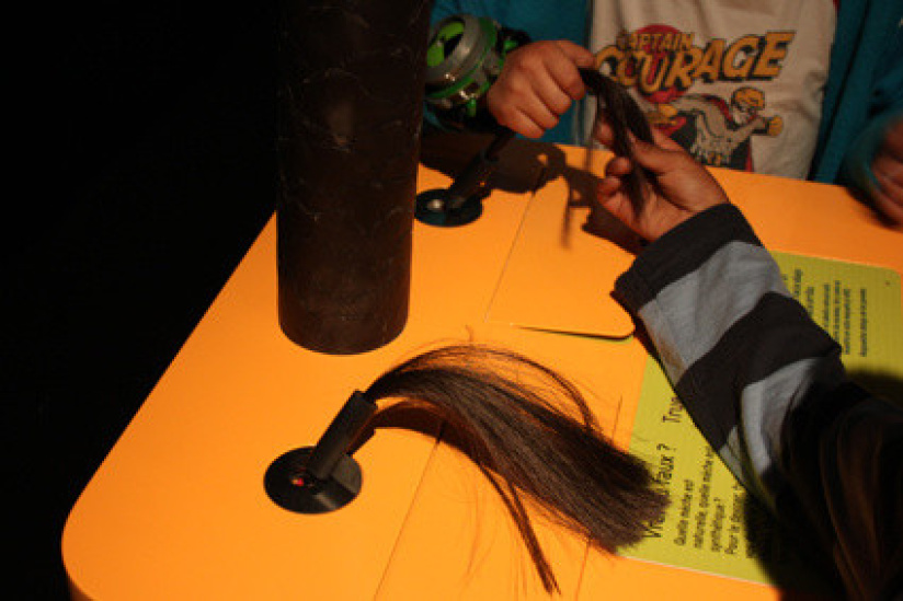 Le cheveu, de mèche avec la science au Palais de la Découverte