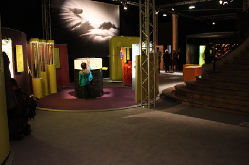 Le cheveu, de mèche avec la science au Palais de la Découverte