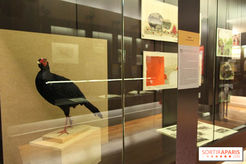 Les animaux célèbres de la Ménagerie, l'exposition