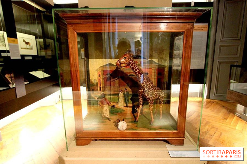 Les animaux célèbres de la Ménagerie, l'exposition