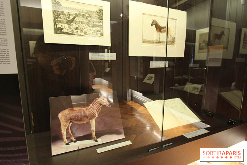 Les animaux célèbres de la Ménagerie, l'exposition