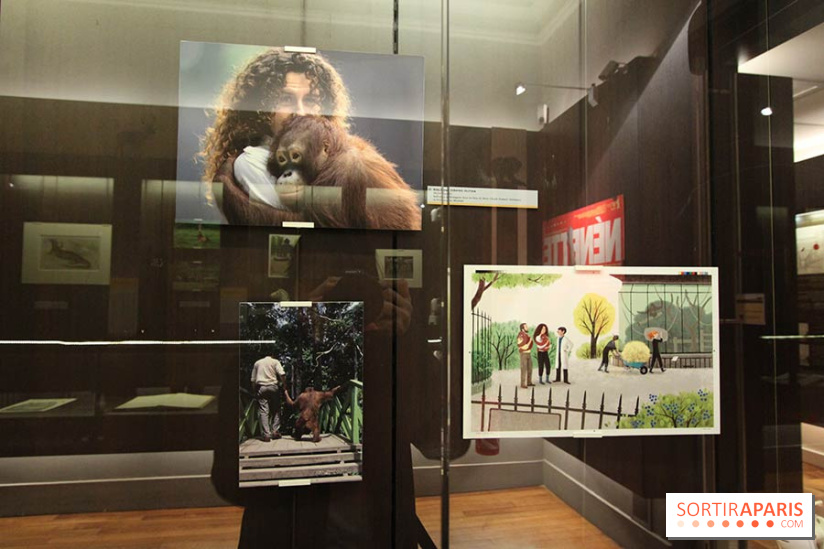 Les animaux célèbres de la Ménagerie, l'exposition