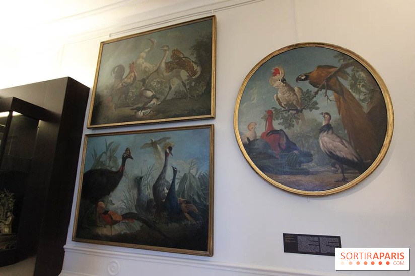 Les animaux célèbres de la Ménagerie, l'exposition