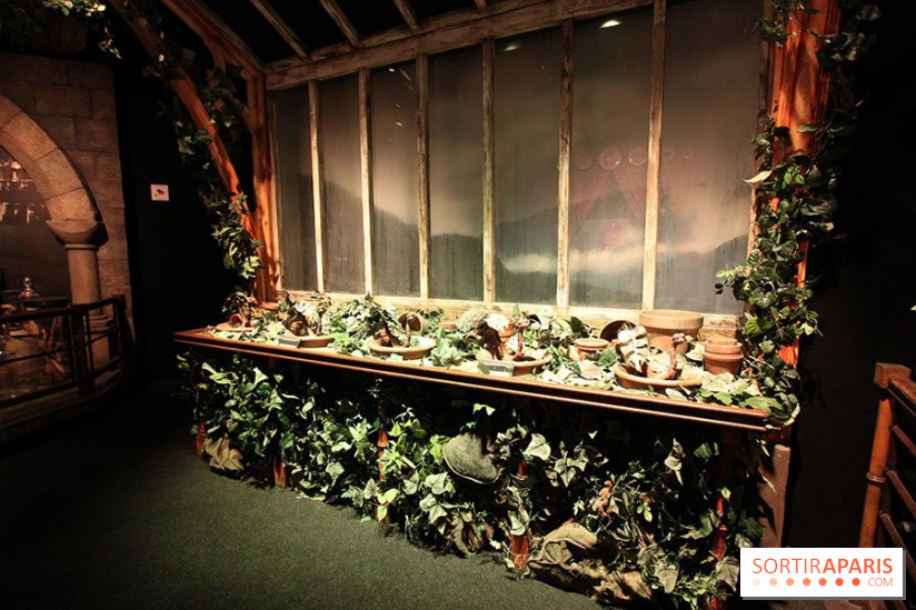 Exposition Harry Potter à Paris, Cité du Cinéma