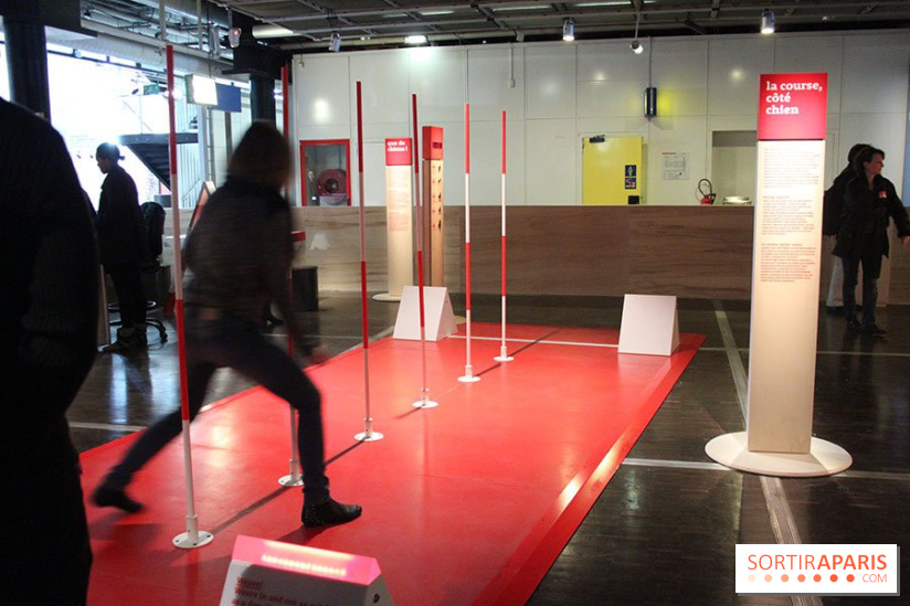 Exposition Chiens et Chats à la Cité des Sciences