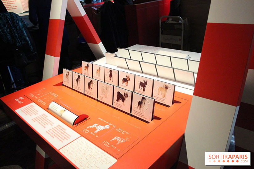 Exposition Chiens et Chats à la Cité des Sciences