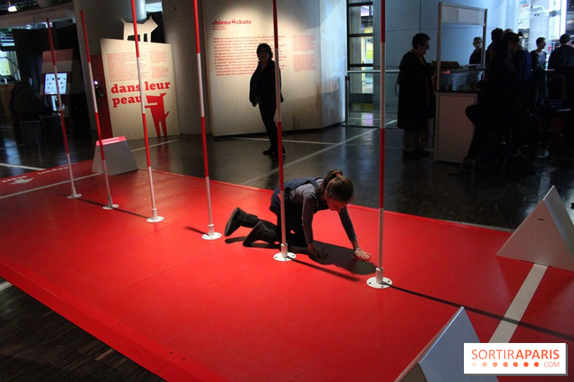 Exposition Chiens et Chats à la Cité des Sciences