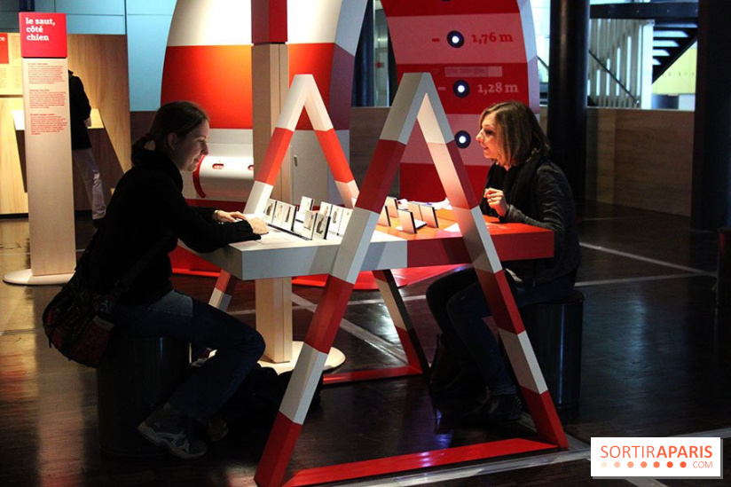 Exposition Chiens et Chats à la Cité des Sciences