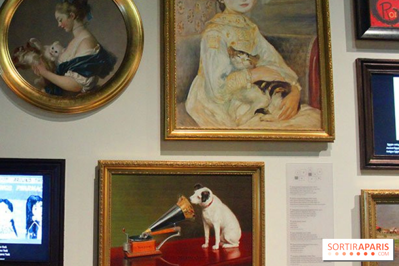 Exposition Chiens et Chats à la Cité des Sciences