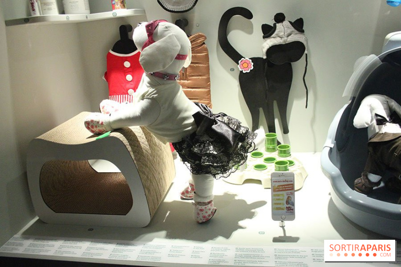 Exposition Chiens et Chats à la Cité des Sciences