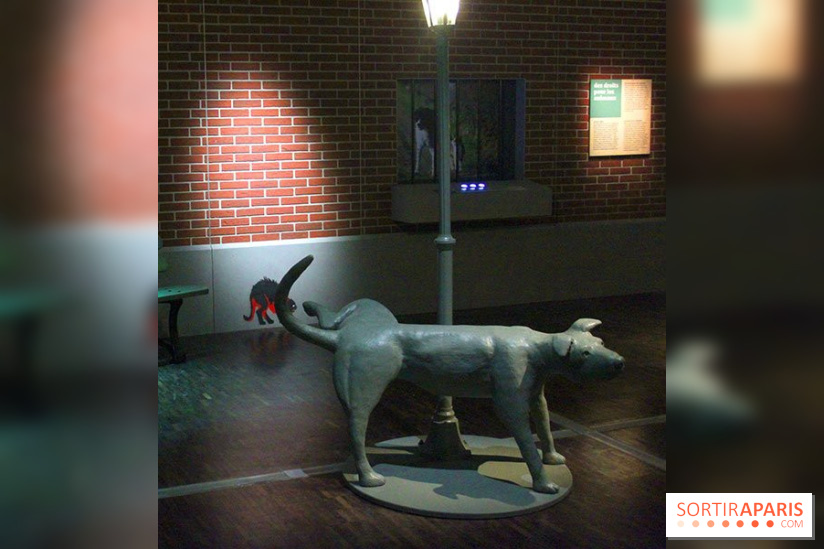 Exposition Chiens et Chats à la Cité des Sciences