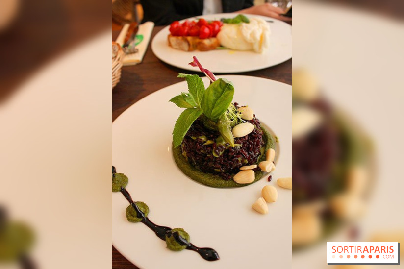 Cicciolina, l'Italie à Paris