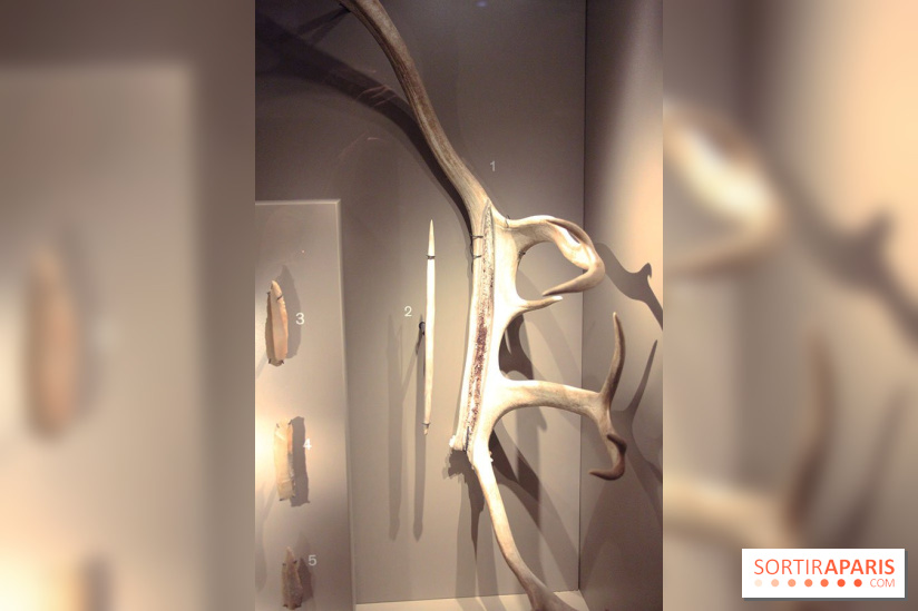 La Grotte de Lascaux à Paris !