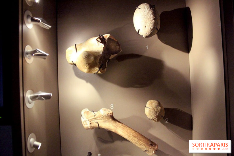 La Grotte de Lascaux à Paris !