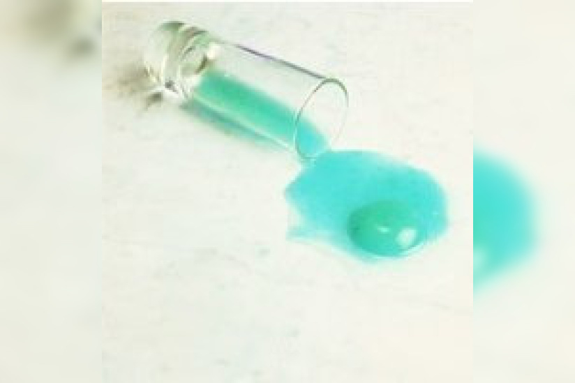 Art, Culture, Expositions, Cesar, Paris, Fondation Cartier, Transversal, Soirées Nomades