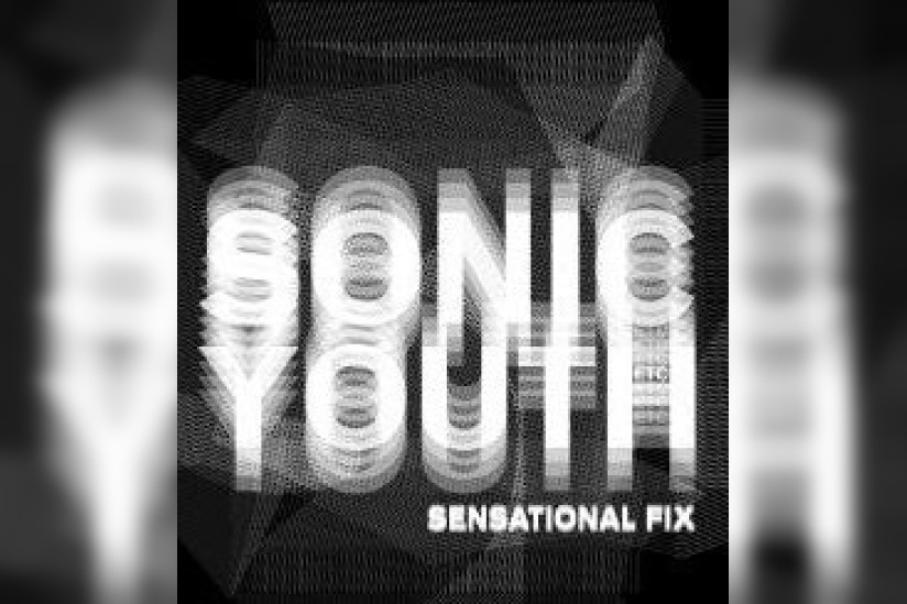 Exposition, Life, Sonic Youth, Saint Nazaire, Festival