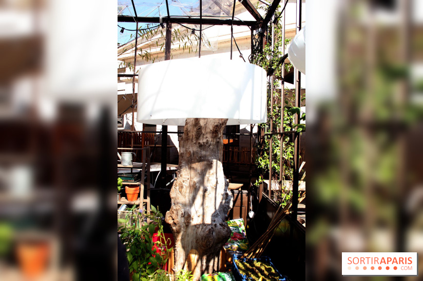 Le potager d'Aucy 2015 à la Serre de la Rotonde