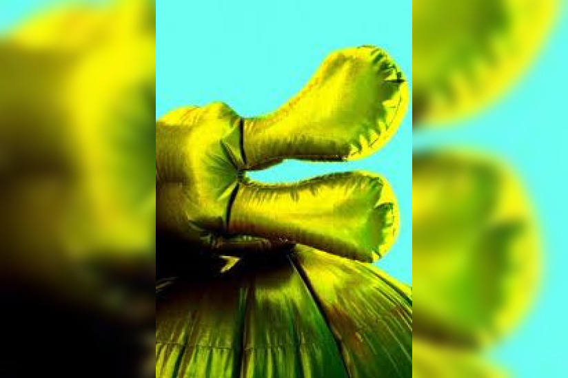 Champion Metadier, “Capture” série inédite de photographies