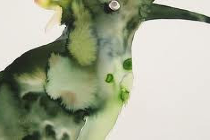 Première édition de l’exposition de dessin : transfert