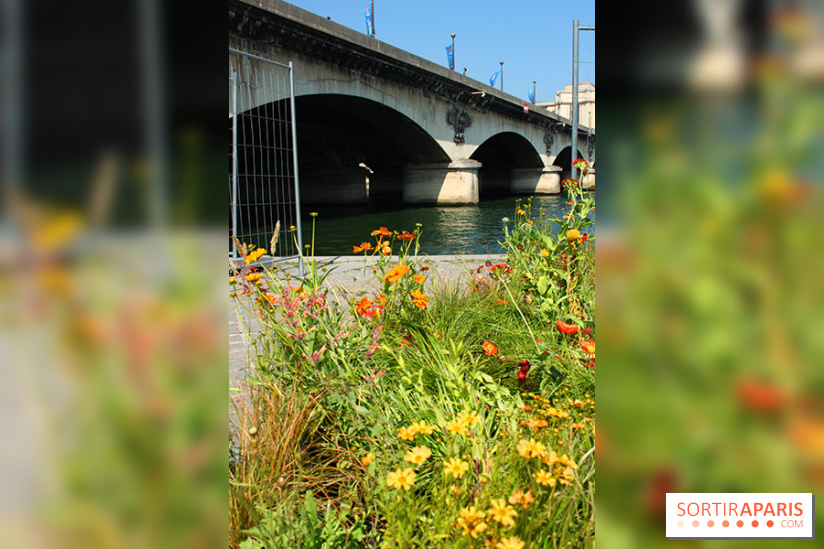 Petite Fleur Folie, le jardin éphémère sur les Berges
