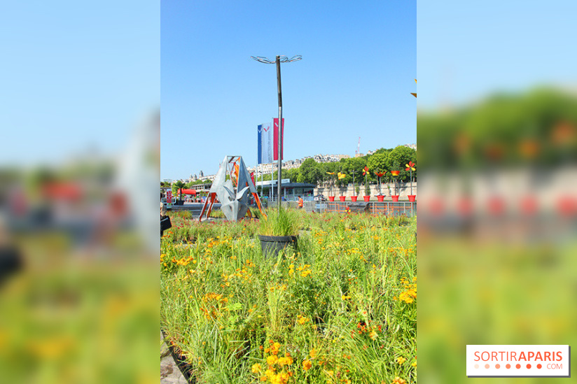 Petite Fleur Folie, le jardin éphémère sur les Berges