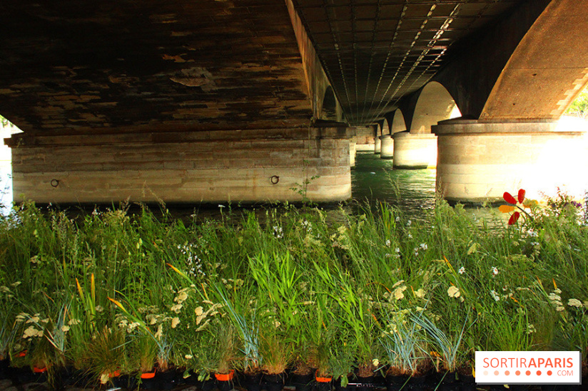 Petite Fleur Folie, le jardin éphémère sur les Berges