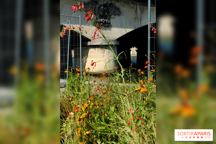 Petite Fleur Folie, le jardin éphémère sur les Berges