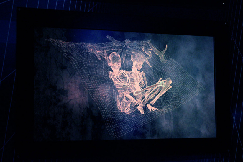 Préhistoire(s), l'enquête