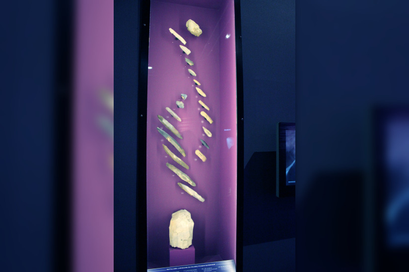 Préhistoire(s), l'enquête