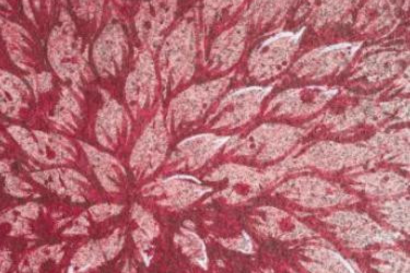 Nuit Blanche 2014 : le parcours 'Open Musée street art contemporain'