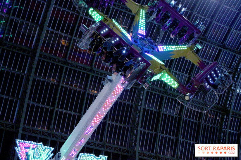 Jours de Fête 2011 au Grand Palais