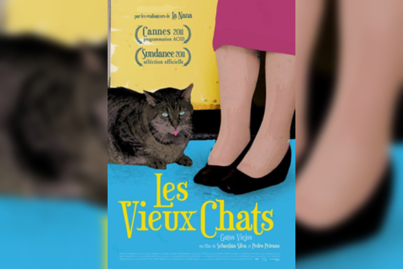 Les vieux chats