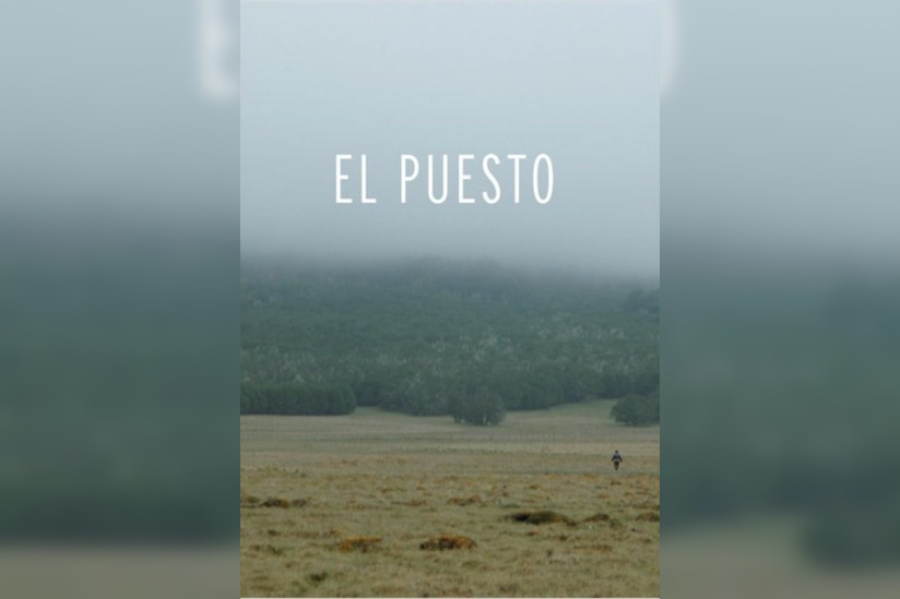 El puesto